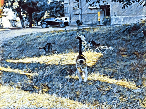 Item #46397680814911453718365897270123246439130732684861044295736255997850295468033 Media