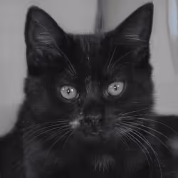 106393158711752592444527764053332067386103257112262188176365273385885174333441