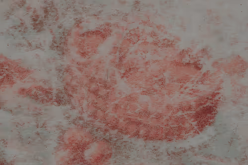 Item #22038897082554510525343258470731156361004216465614041930252992579187045826562 Media