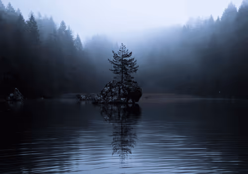 Item #26636344578717920692700769935313843753450649801489178954925375886738187091978 Media