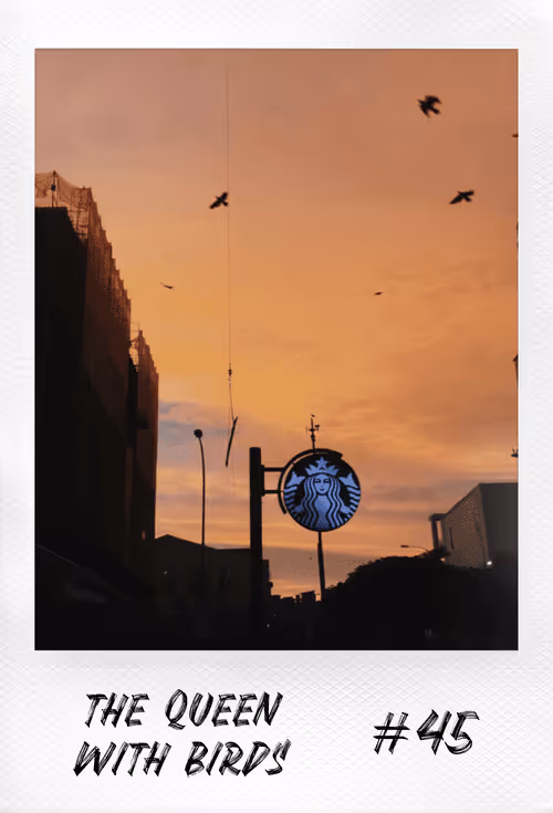 Item #18140997515377128160158968523159996217114177241971252652829514299077482774529 Media