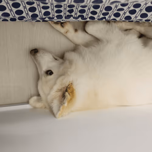 Item #11589634007344310346073007191394288969191527375593807410073591599416960090113 Media