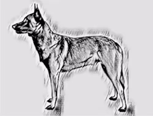 Item #23143313246472061328071561115701105421589606567298838424350448154435127345153 Media