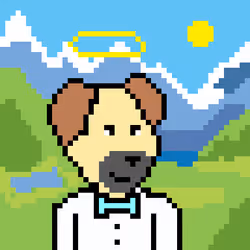 47654056999114043036718504968769856379755101361110030796076621984310157639681