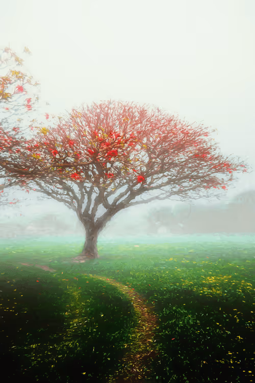 Item #110843191158220311663408589832334873758913224296124318855589226667023475408901 Media