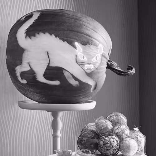 15081463501546268006596121588316872326209313817998412847676536871936828899329