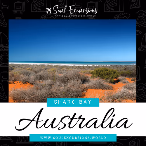 Item #66062759259298317495242665808143605487960305521075017354073139713162315038721 Media