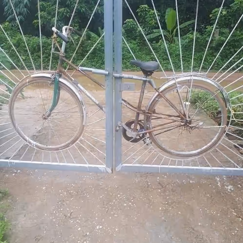 Untitled Collection #84847555