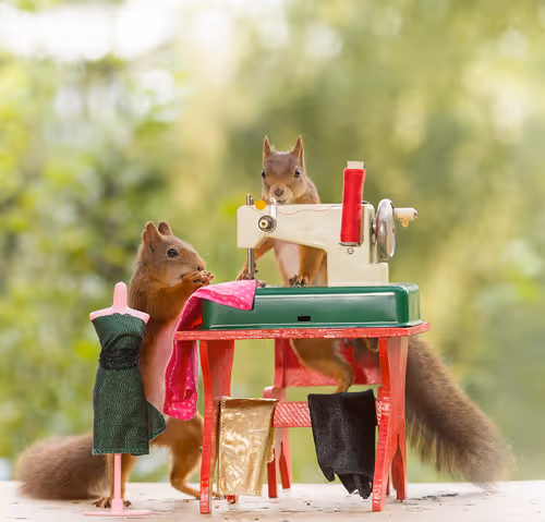 Item #41723246610632705543282218396403645401617984070439185990108432308497620664321 Media