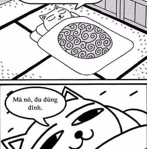 Untitled Collection #69105840