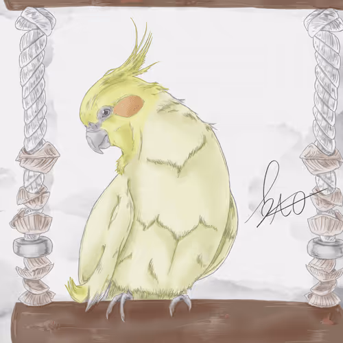 Item #59698995597156753521260483355934506753642150267256783215488822626934977462275 Media