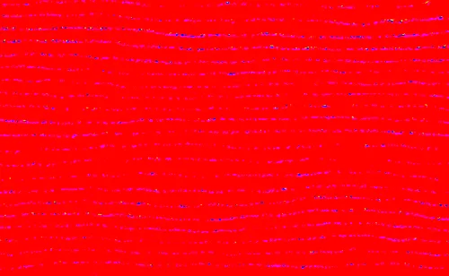 Item #65033471295990105292863051236151584237795401292805181333653600471647027986433 Media