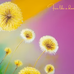 free like a dandelion seed 01