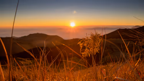 Item #41016340276136272437593840825708258407037396830717987725794146095298286452737 Media