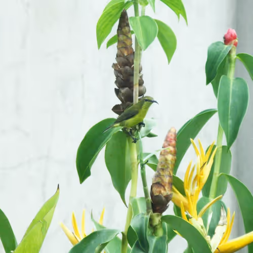 Item #94394910353456792511770389683380397167058265892134190948053464643864352522241 Media