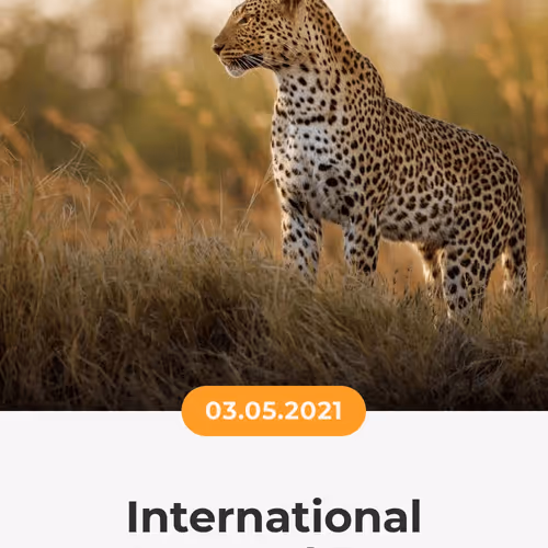 84967509520196306123188380026293221301468344843151761076076916495765651587073