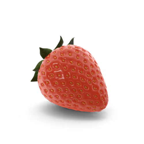 Item #10692128177869217616549875812351760064044743259876947564500344180079295725573 Media