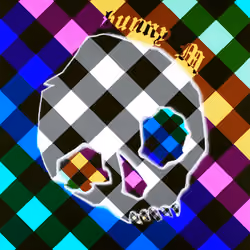 luminous gingham skull spectrum twin no. 2 flip