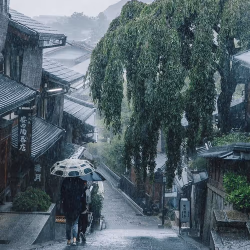 Item #2468119463308914702005443652102614178506533567319377457804557011967547539457 Media