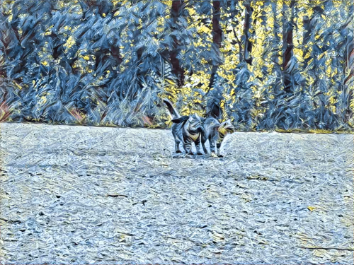 Item #46397680814911453718365897270123246439130732684861044295736255976959574540289 Media