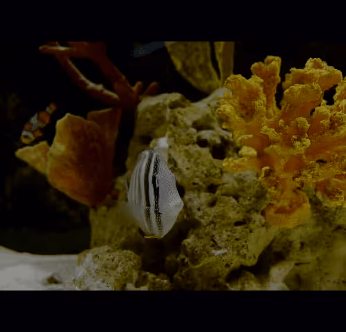 Item #96480669494729619262661189301568248367107544243964914039235424944078138114049 Media