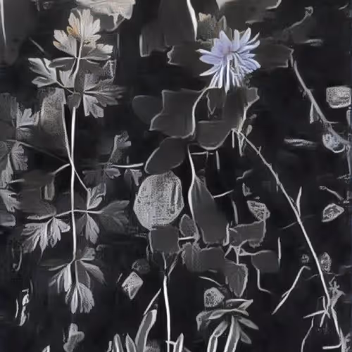 40653763381614500246509962942582017900966505181407803818520203231412254409704