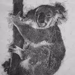 11276162529628641556553056529614973332754405277106184420845745169757219323905