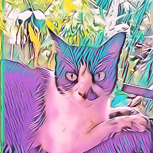 Untitled Collection #74724001