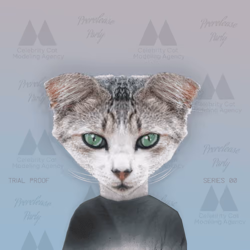 Celebrity Cat Modeling Agency #71