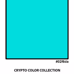 #02f6da