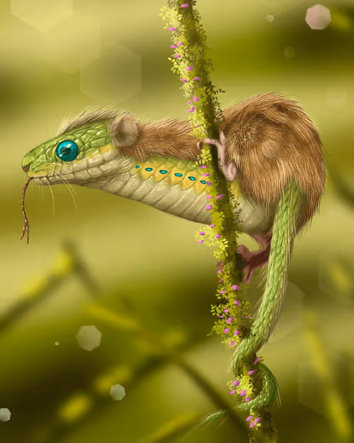 Item #92653617760102030904218862550610393359558394307813449742985135108378647855105 Media