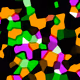 97946158260166529257710498095923985147190230991323197261390003252027493187585