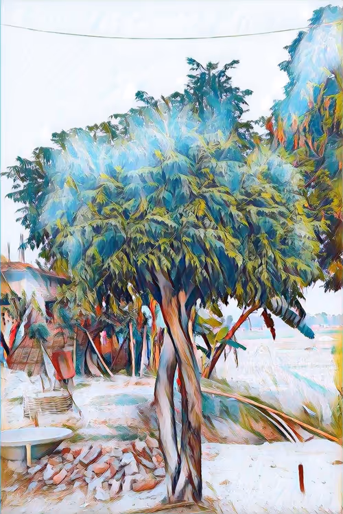 Item #53344357632477815300370085821507821745666874647266618234079417753354318643201 Media