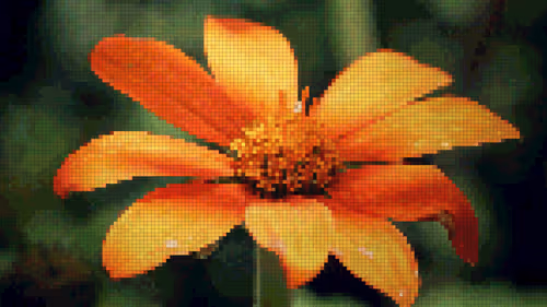 Item #75866091947728652238534111254584504918190435733442380629681527374640186392577 Media