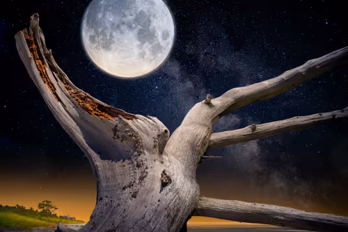 Item #79759977614981240173463193598040334510591662110008548721289304013730872295425 Media