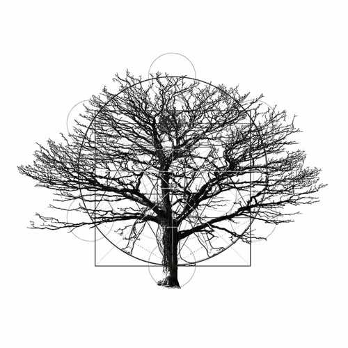 Item #103667723809106260564128461551872709930440343821852494988381502473045607972865 Media