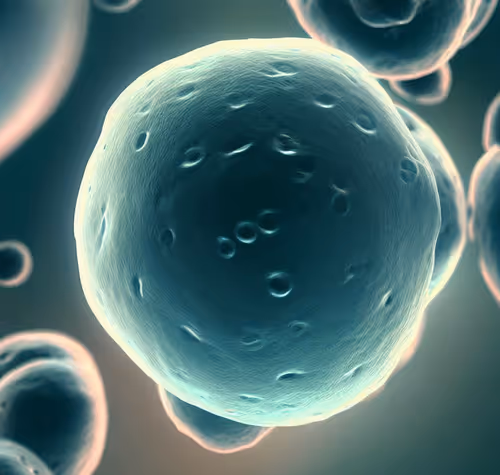 Item #15900858524274065462397165605509062893973264951757804275935713273044543733761 Media