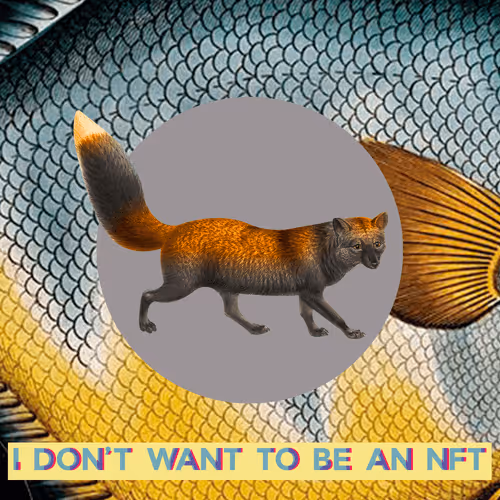 Item #3530187889540553224700552633621350802399192504372702264799301442641988681729 Media