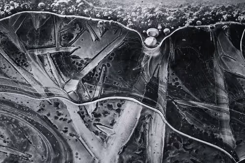 Item #5251330199677453137602023224784085473463322177594998439991548921886017585153 Media