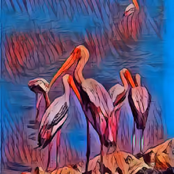 Painted Stork #7