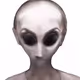 78659460725135531583023670119258347490912039647015248883718852249391286190081