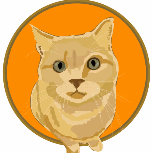 Mustapha_the_cat Collection - old