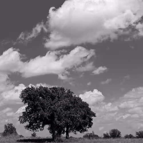 93437413673241477184719516664819130297052764633557001940307578640801040695297