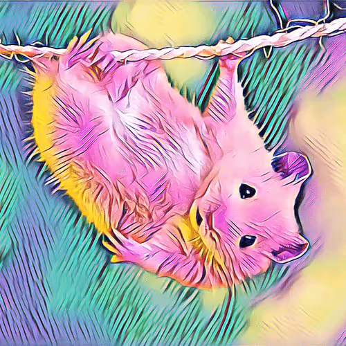 Item #85290439846963378831767393218679351761600522304334437486147836266037263728641 Media