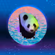 Moon Panda