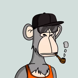 37478633902359635568087347059982278741233741960673580295743928307363543515137