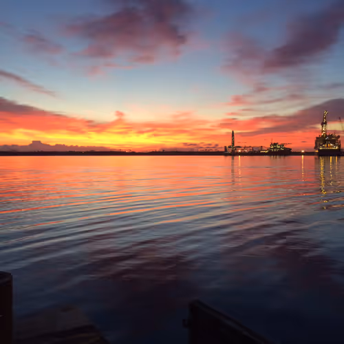 Untitled Collection #192058487