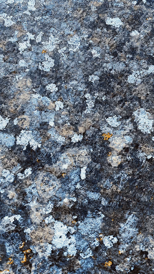 Item #102208406942855281277513809898557647078526314918875506619606133366662017056769 Media