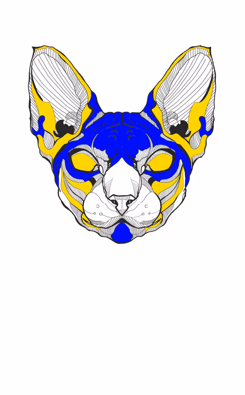 Item #84297988521860449487920326360898468511054866812923401198130100117346172534785 Media