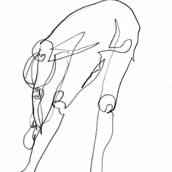 No.27